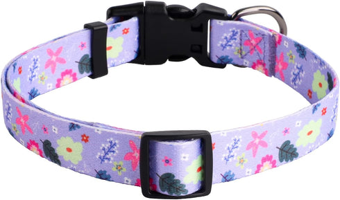 QQPETS Adjustable Soft Dog Collar: Print Flower Pink Multicolor Cute Patterns for XS Small Medium Large Pet Girl Boy Puppy Walking Running Trainin...