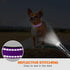 Taglory Reflective Dog Collar with Safety Locking Buckle, Adjustable Nylon Pet Collars for Puppy Dogs, XS, Purple...