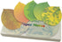 Cute Tree Leaf Sticky Notes/Paper Memo Self-Adhesive Notes, 3.93" x 2.45" 10 Pads/Pack, 25 Sheets/Pad (5 Colors)...