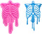 Shiny Glossy Halloween Skull Human Skeleton Bone Rib Shape Silicone Molds for DIY Craft Keychain Polymer Clay Mold Epoxy Pendant Resin Crafting Ma...