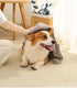 Microfiber Pet Towel - Dog Towel Super Absorbent Large Microfiber Drying Bath Towel for Dogs & Cats, 40x20 inches, Quick Drying, Lightweight Dog B...