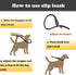 Dog Leash Slip Lead and Snap Hook Leash, Adjustable Heavy Duty 1/2" x 6 FT Braided Rope Durable No Pull Pet Strong Training Traffic Walking Lead L...