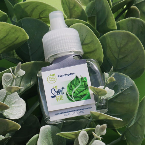 Scent Fill 100% Natural Eucalyptus Plug in Air Freshener, Scented Oil Refills, 2 Refills + Diffuser...