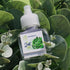 Scent Fill 100% Natural Eucalyptus Plug in Air Freshener, Scented Oil Refills, 2 Refills + Diffuser...