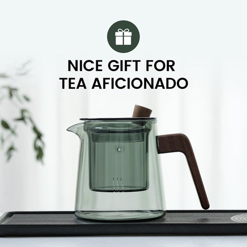 Glass Teapot with Removable Glass Infuser, Teapot Kettle for Blooming and Loose Leaf, Borosilicate Glass Tea Maker 17oz/500ml...