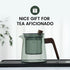 Glass Teapot with Removable Glass Infuser, Teapot Kettle for Blooming and Loose Leaf, Borosilicate Glass Tea Maker 17oz/500ml...