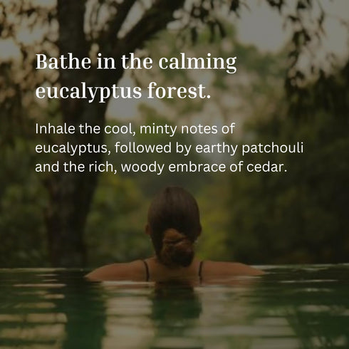 Eucalyptus Shower Spray Spa Feel - Escape to Serene Eucalyptus Forest (1200+ Sprays) | 100% Natural Essential Oil Spray, infused with FlowerBACH™ ...