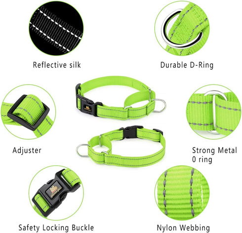 Plutus Pet Reflective Martingale Collar with Buckle - Durable and Adjustable Training Collar for No Pulling, Dog Choker Collar for Small Medium La...