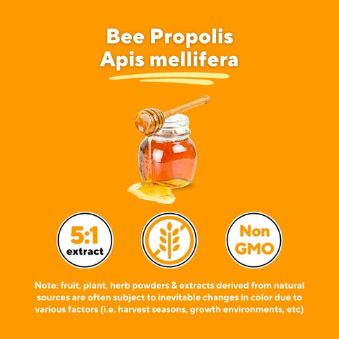 Bee Propolis Extract Capsules 1000mg Supplement for Immune Support, Vitality, Skin Health - Potent Polyphenols, Flavanoids, Antioxidants - 120 Cou...