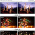 ZOMEI 55mm Star-Effect Cross Starburst Twinkle Lens + 4 Points Star Filter + 6 Points Star Filter + 8 Points Star Filter Set for Canon Nikon...