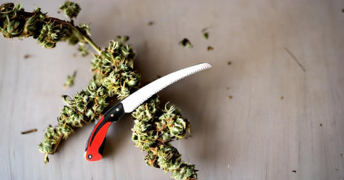 11 Inch Hand Pruning Saw Household Garden Pruning Saw Survial Hand Saw Tool with Saw Blade Enclosure for Garden Trimming Wood Camping Tree Branche...
