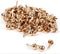 250pcs Paper Fasteners Brads Round Fasteners for Kids Craft Art Crafting School Project Brass Fasteners Decorative Paper Decoration Scrapbooking D...