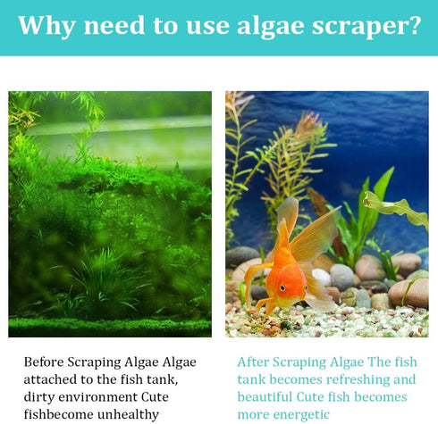ZRDR Stainless Steel Algae Scraper Aquarium Cleaning Tool for Glass Aquariums, Including Algae Scraper, Sponge Pad, Fish Net, Cleaning Brush, Adju...