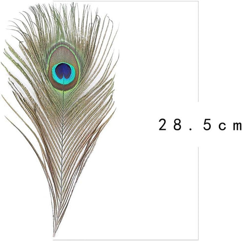 12 PCS Real Natural Peacock Eye Feathers 10-12 inch for DIY Craft, Wedding and Holiday Decorations...