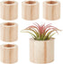 AHANDMAKER 6 Pcs Air Plants Holders, Wood Airplant Holder, Rustic Style Air Plant Container Tillandsia Holder, Air Plant Pots for Displaying Small...