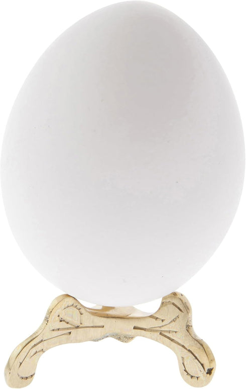 Bard's Brass-toned Egg Stand/Holder, Small Scroll Leg, 0.625" Diameter (Fits Hen Sized Eggs)...