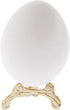 Bard's Brass-toned Egg Stand/Holder, Small Scroll Leg, 0.625" Diameter (Fits Hen Sized Eggs)...