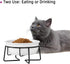 Ceramic Raised Cat Dishes or Small Dog Bowl with Metal Stand 12 Ounces, Pet Food or Water Bowls, White...