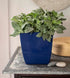 The HC Companies 6 Inch Aria Round Planter - Plastic Plant Pot for Indoor Outdoor Plants Flowers Herbs, Sapphire Blue...