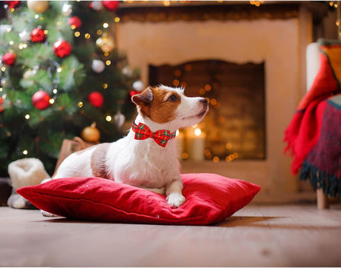 Lionheart glory Christmas Dog Bow Collar Plaid Bow Dog Collar Girl or Boy Dog Bow Tie Collar Pet Gift Adjustable Dog Collar for Small Dog...