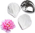 KALAIEN 5pcs Stainless Steel Peony Cutter 2pcs Fondant Silicone Mold Gumpaste Peony Sugarcraft Flower Veining Mold Veiner Petal Making Tool...