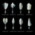 Jelly Decorating Tools - 3D Gelatin Jelly Cake Art Tools Set with Syringe Pudding Pastry Nozzles Stainless Steel Needles Tips Baking Pastry...