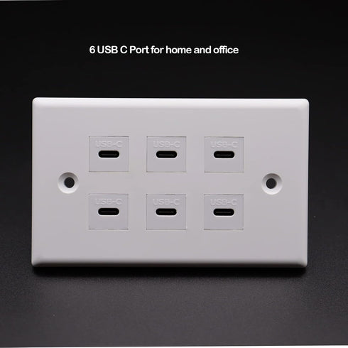 USB C Charger Wall Outlet Plate, LOKEKE 6 Ports USB Type C Power Wall Outlet Plug Plate for Smartphone Pad Switch, White...