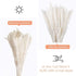30 Pcs White Pampas Grass ,17 inch/45 cm Natural Dried Pampas Grass Branches Decor for Home Kitchen Garden Party Photographing Flower Arrangement ...