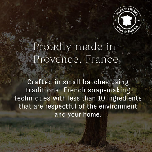 Laundry Detergent Sample, Plant based French Soap, 100ml, Unscented Travel Size Hand Wash Detergent...