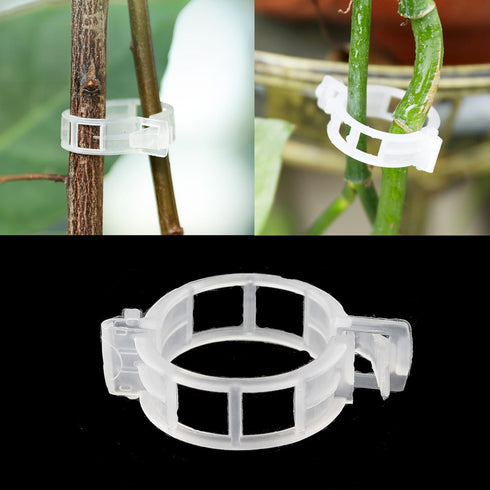 100PCS 30MM Grafting Tool Plant Growth Clamp Vegetable Fastening Clamp Garden Clamp Hanging Seedling Clamp Plastic Trellis Clamp Suitable for Frui...