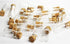 lasenersm 10Pcs/1ML Empty Sample Glass Bottles Jars Vials Case Container with Cork Stoppers for Message Weddings Wish Jewelry Party Favors,Transpa...