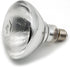 Infrared Bulb Red Hard Explosion-Proof Glass Infrared Heating Lamp for Chicken,Pet,Bathroom Warming Light Bulb(120V,100W)...