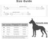 Dog Collar Cute Flower, Reflective Adjustable Basic Collars for Girl Female Small Medium Large Dogs Walking Running(Large,Black)...