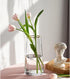 Moden Trapezoid Glass Vase with Gold Mouth for Centerpieces Home Wedding Decoration (1, Small 4.7" x 8.7")...