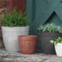 Dolce Round Planter, Rust, 6"...