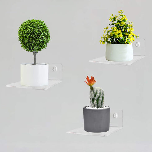 Bigfety Acrylic Small Floating Shelves for Wall, 3-Ledges, Clear Mini Display Floating Shelf Flexible Use with Adhesive or Screw...