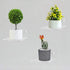 Bigfety Acrylic Small Floating Shelves for Wall, 3-Ledges, Clear Mini Display Floating Shelf Flexible Use with Adhesive or Screw...