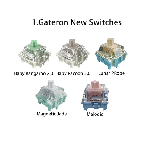 Gateron Series New and Classic Mechanical Keyboard Switches Pack 20pcs...