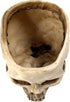 RMM Halloween Decoration Retro Human Skull Head Flower Pot Planter Bed Box Container Replica Home Bar Décor,Clear...