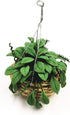 Miniature Dollhouse Plants Dollhouse Furniture and Accessories Hanging Plant Pot Model 1 12 Scale...