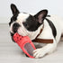 Dog Chew Toy,Durable Rubber Slipper Toy for Puppy,Dog Tough Toys for Pet Training and Cleaning Teeth,Interactive Puppy Toys Aggressive Chewers Sma...