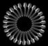 500Pcs Clear Plastic Tasting Spoons Disposable Mini Tasters Spoons Food Ice Cream Spoons Frozen Dessert Supplies...
