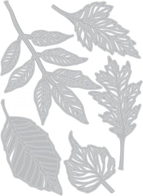 Sizzix TH Thinlits Skeleton Leaves, None...