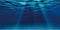 AWERT 48x24 inches Ocean Floor Aquarium Background Undersea Theme Aquarium Background Underwater Fish Tank Background...