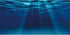 AWERT 48x24 inches Ocean Floor Aquarium Background Undersea Theme Aquarium Background Underwater Fish Tank Background...