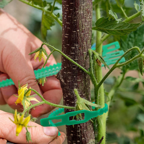 200 Pieces Adjustable Garden Plant Twist Ties, Reusable Green Garden Ties Gardening Ties, Reusable Garden Plant Twist Tie Plastic Garden Ties Plan...