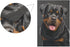Rottweiler Dog Garden Flag Banner 12 x 18 Inch Decorative Garden Flag for Outdoor Lawn and Garden Home Décor Double-Sided...