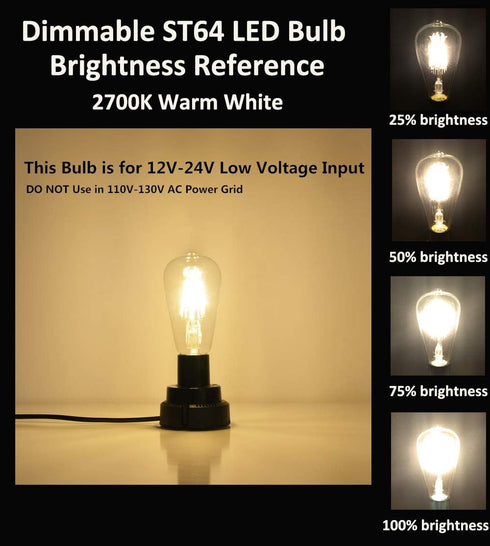Low Voltage DC 12V/24V 6W LED Bulb, Edison Style ST21(ST64) Antique Shape, 12V PWM DC Dimmer, E26 Common Base, Warm White Light, 600LM, 60W Incand...