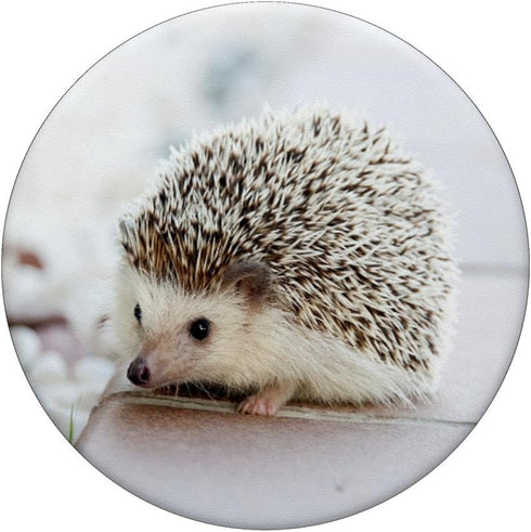 Cute Hedgehog Animal Lover Gift PopSockets PopGrip: Swappable Grip for Phones & Tablets PopSockets Adhesive PopGrip...