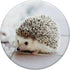 Cute Hedgehog Animal Lover Gift PopSockets PopGrip: Swappable Grip for Phones & Tablets PopSockets Adhesive PopGrip...